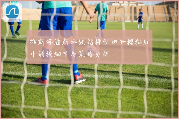 维斯塔潘新加坡站排位回升揭秘红牛调校细节与策略分析